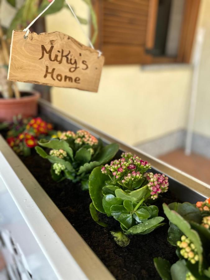Miky'S Home Leggiuno Dış mekan fotoğraf